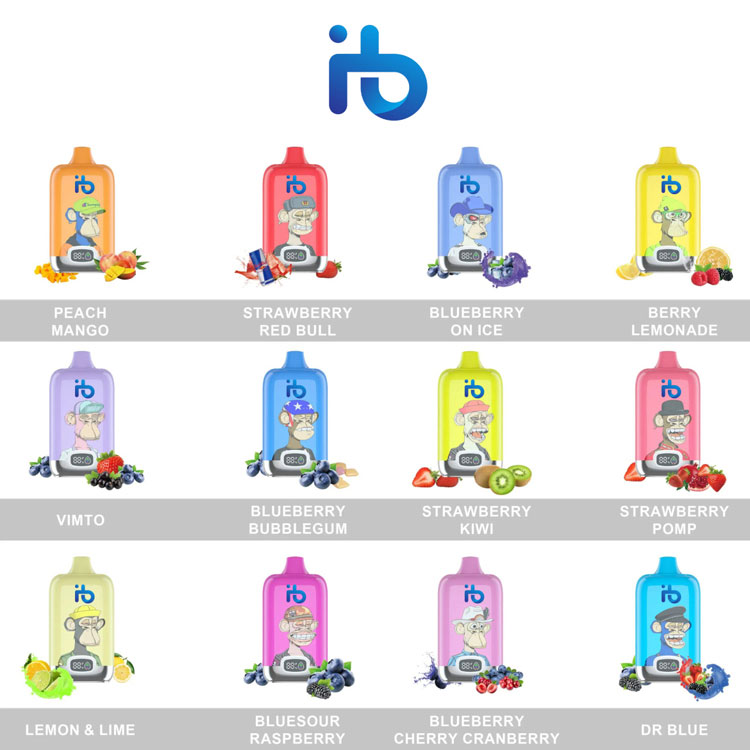 IBvape E-Zigaretten travel advice, can you take electronic cigarettes on an airplane and how to pack them safely