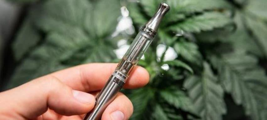 What to expect from đá gà thomo trực tiếp hôm nay and essential guidance on can i carry e cigarette in flight