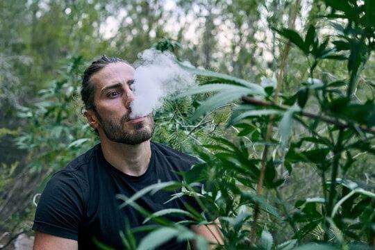 E-Sigara Review and Buyer Guide Featuring top 10 e cigarettes for 2025