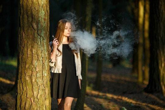 e cigarette holder Buying Guide and Why nha cai uy tin Matters for Secure Vape Shopping